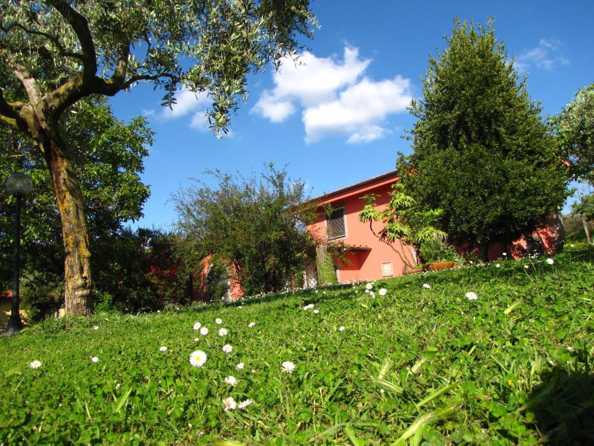 B&B Ai Glicini - Castelli Romani Marino Exterior photo
