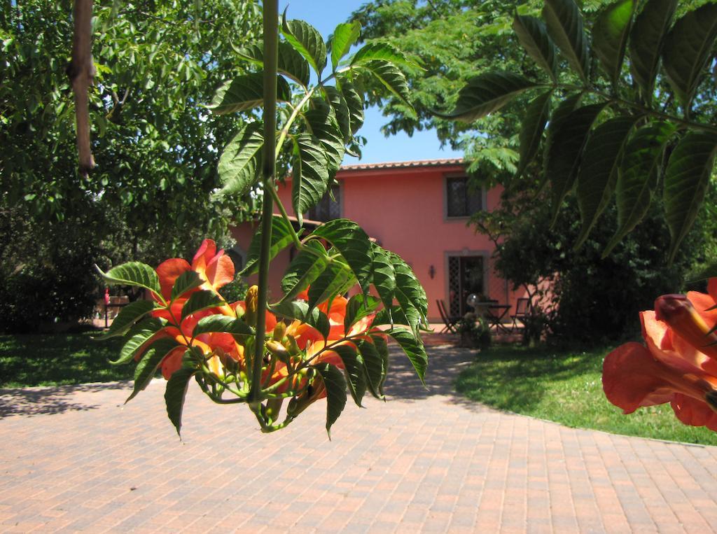 B&B Ai Glicini - Castelli Romani Marino Exterior photo